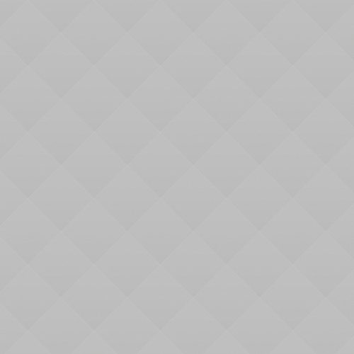 Animal Shelter Volunteers Meeting