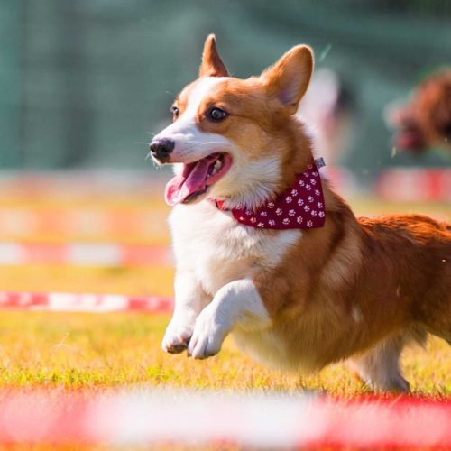 Are They Getting the Care They Deserve?